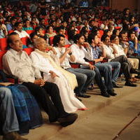 Telugu movie Dhada Audio launch stills | Picture 50453